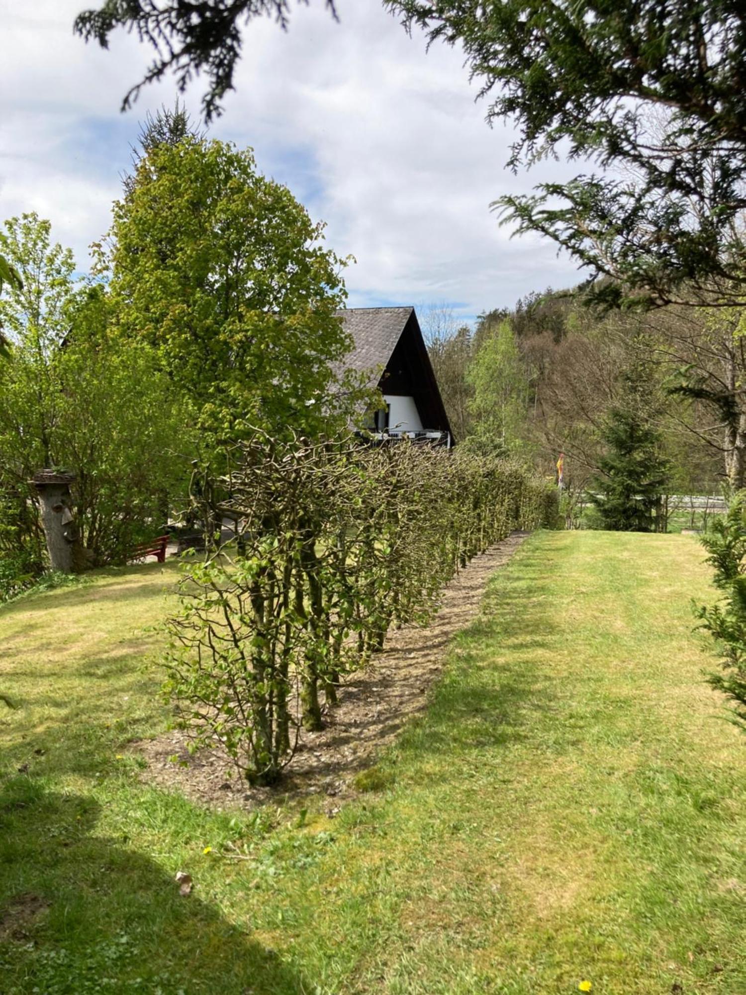 Gasthof Walhalja Schmallenberg Εξωτερικό φωτογραφία